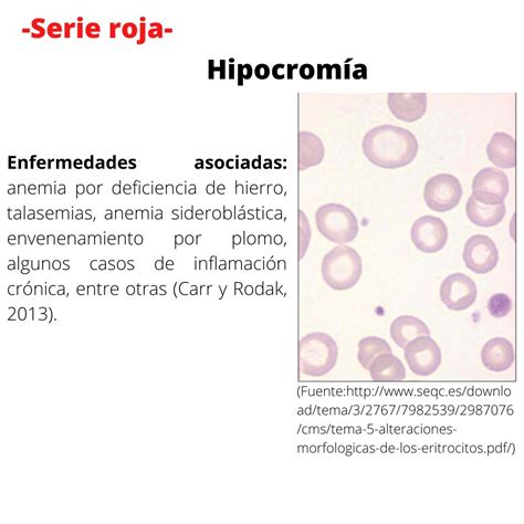 hipocromia discreta